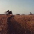 prairie_pathway